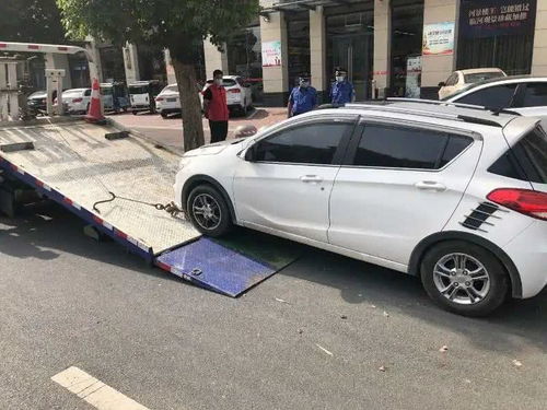 漯河市启动机动车违停拖移执法，数字化后台管理系统提升执法效能